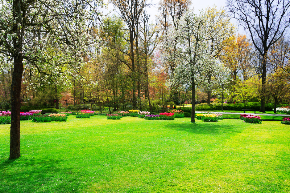 The Ultimate Guide to Year-Round Green Grass in Bristol